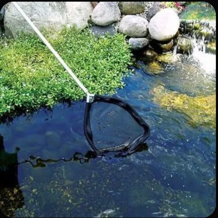 Super Pond Сачок для рыбы Fish Net FN-45